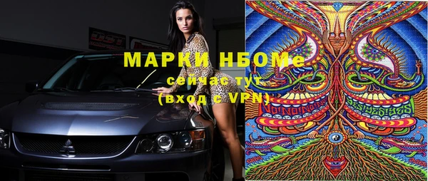 стаф Алзамай
