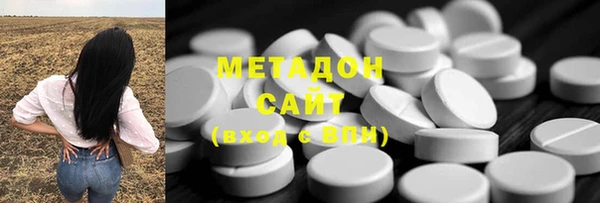 стаф Алзамай