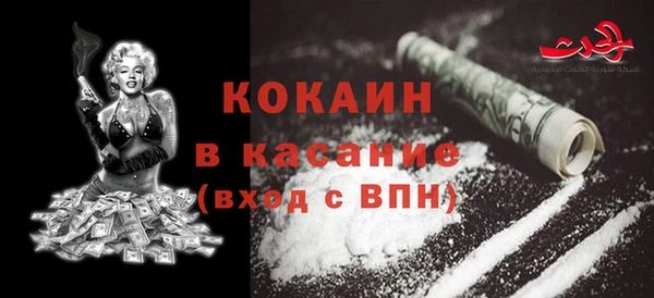 стаф Алзамай