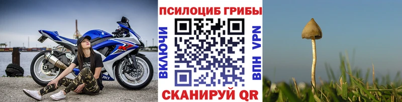 Псилоцибиновые грибы GOLDEN TEACHER  цена   Кондопога 